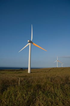 Wind turbines in a field, Pakini Nui Wind Project, South Point, Big Island, Hawaii, USA