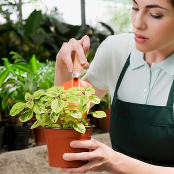Woman planting a plant in a pot