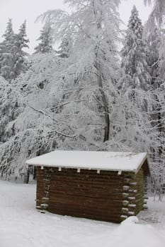 wooden hut