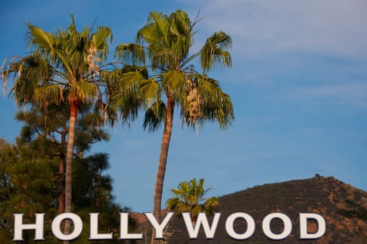 Hollywood text with palm trees in the background, Hollywood, Los Angeles, California, USA