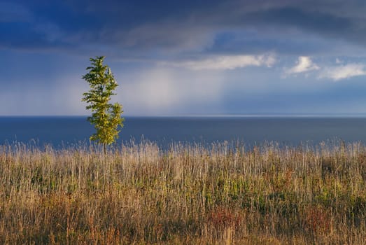 Clouds over the sea