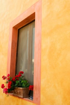 Flowers in a window box, Siena Province, Tuscany, Italy