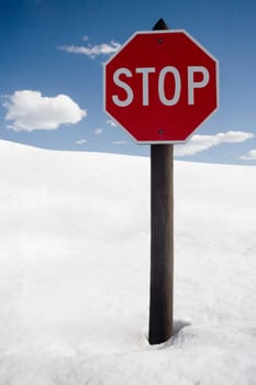 Stop signboard in snow