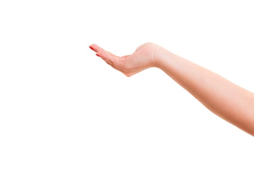 Cropped view of a hand cupped over a white background