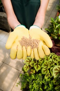 Woman holding a handful of compost in a greenhouse