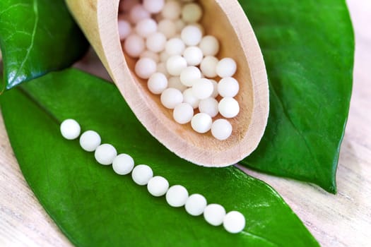Macro close up of multiple homeopathic little balls on green leaf.