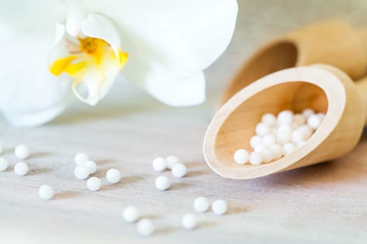Macro close up of homeopathic balls with orchid.
