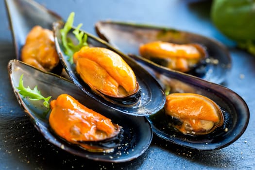 Macro close up of appetizing fresh Steamed sea mussels. Large blue mussels on dark plate