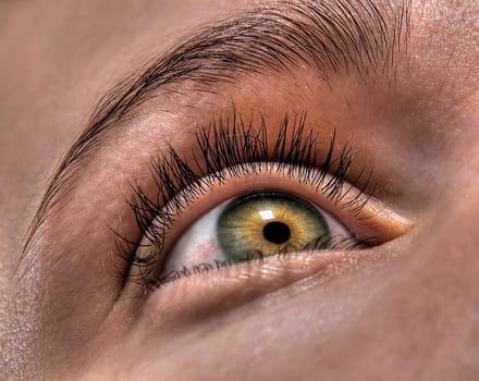 Close_up of a human eye