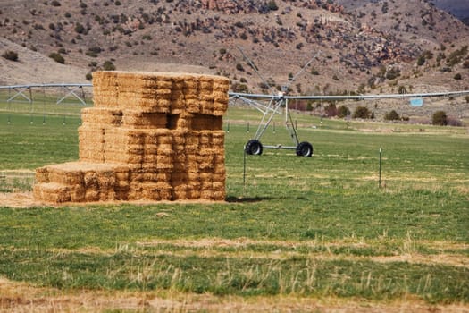 Haystack in the field, Virginia City, Madison County, Montana, USA
