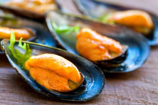 Macro close up of fresh steamed blue sea mussels.