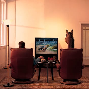 Rear view of a man and a horse sitting in armchairs and watching television