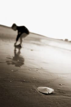 Boy collecting shells on the beach