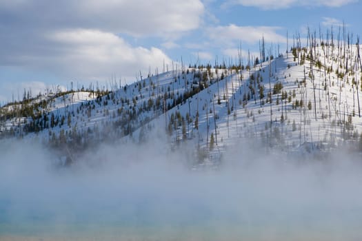 Steam emerging from a hot spring, Grand Prismatic Spring, Yellowstone National Park, Wyoming, USA