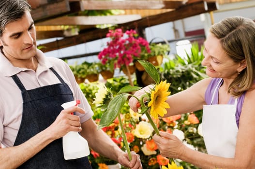 Florists working in a shop