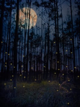 Group of fireflies in a forest