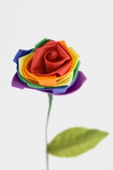 Close_up of a colorful flower representing Gay symbol