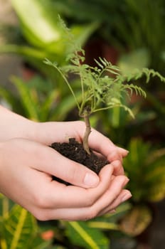 Woman holding a sapling in a greenhouse