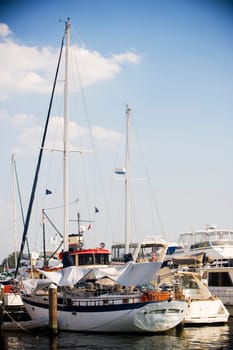 Passenger ships moored at a dock