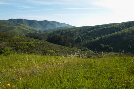 Panoramic view of a landscape