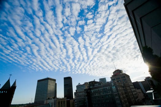 Skyscrapers in a city