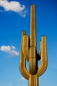 Low angle view of a Saguaro cactus carnegiea gigantea, Phoenix, Maricopa County, Arizona, USA