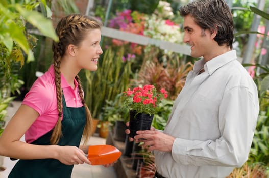 Customer buying a potted plant in a greenhouse