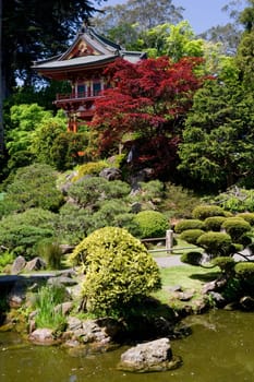 Trees in a park, Japanese Tea Garden, Golden Gate Park, San Francisco, California, USA
