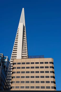 Low angle view of skyscrapers in a city, Transamerica Pyramid, San Francisco, California, USA