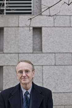 Portrait of a businessman smiling