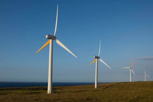Wind turbines in a field, Pakini Nui Wind Project, South Point, Big Island, Hawaii, USA