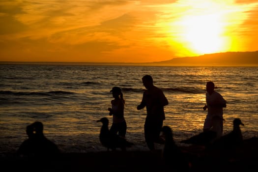 Tourists running on the beach, Santa Monica, Los Angeles County, California, USA