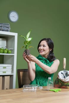 Woman holding a seedling