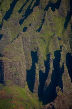 Moss on rocks, Na Pali Coast State Park, Kauai, Hawaii Islands, USA