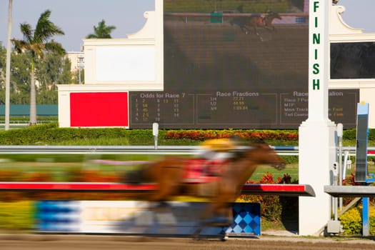 Side profile of a jockey on a horse at the finish line, Miami, Florida, USA