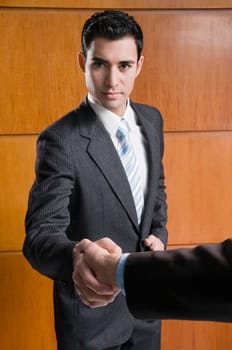 Portrait of a businessman shaking hand with another businessman