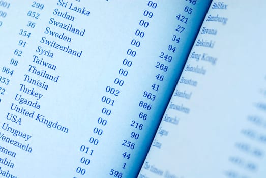 Close_up of an open telephone directory