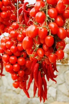 Close_up of tomatoes and red chili peppers hanging at a market stall, Sorrento, Sorrentine Peninsula, Naples Province, Campania, Italy