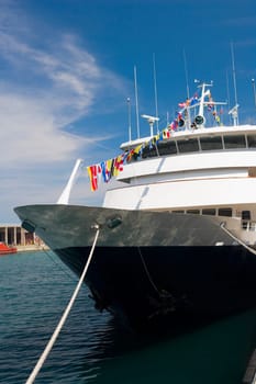 Passenger ship moored at a pier, Navy Pier, Chicago, Illinois, USA