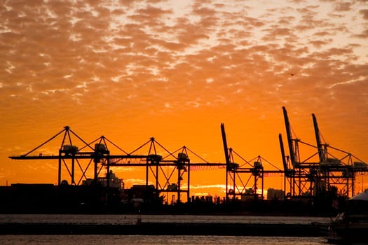 Silhouette of cranes at a commercial dock at dusk, Port Of Miami_Dade, Miami, Florida, USA