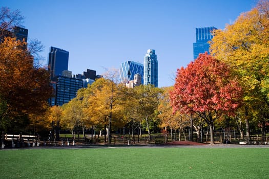 Trees in a park with buildings in the background, Central Park, Manhattan, New York City, New York State, USA