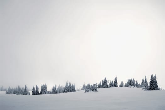 Trees in a snow covered landscape, West Yellowstone, Gallatin County, Montana, USA