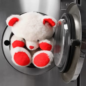 Teddy bear in a washing machine in a laundromat