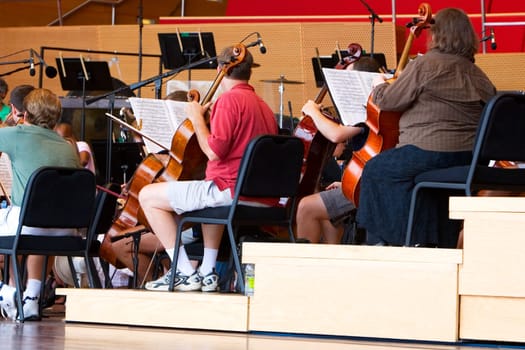 Classic concert in a auditorium, Millennium Park, Chicago, Illinois, USA