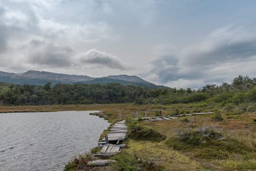 Landscape of the Tierra del Fuego National Park, Argentina