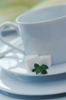 Close_up of a tea cup and saucers with sugar cubes