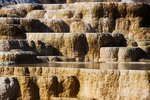 Terraces at a hot spring, Mammoth Hot Springs, Yellowstone National Park, Wyoming, USA