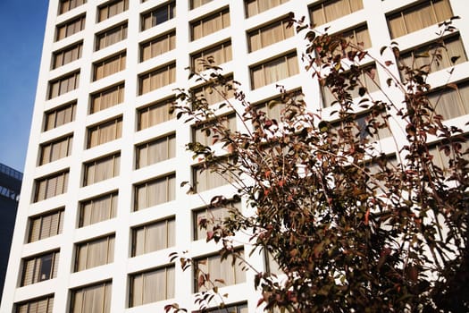 Low angle view of a building