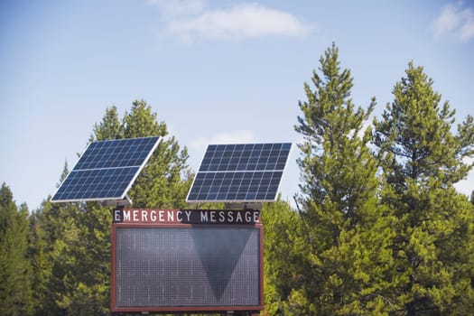 Solar panels in front of trees