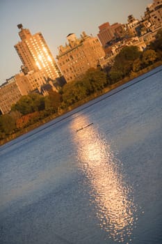 Buildings in a city, Central Park, Manhattan, New York City, New York State, USA